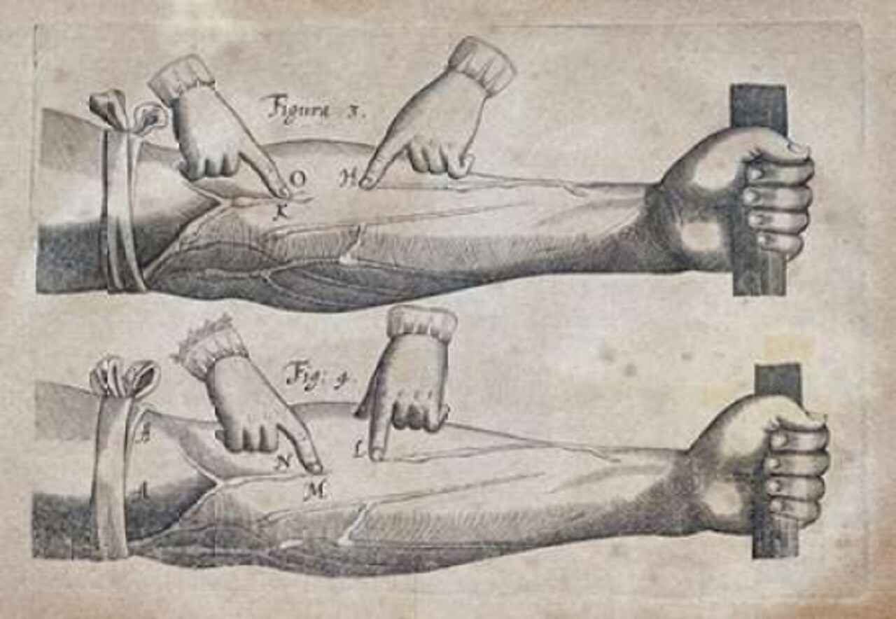 Discovery of The Circulation of Blood Poster Print by William Harvey - Item # VARPDX266506
